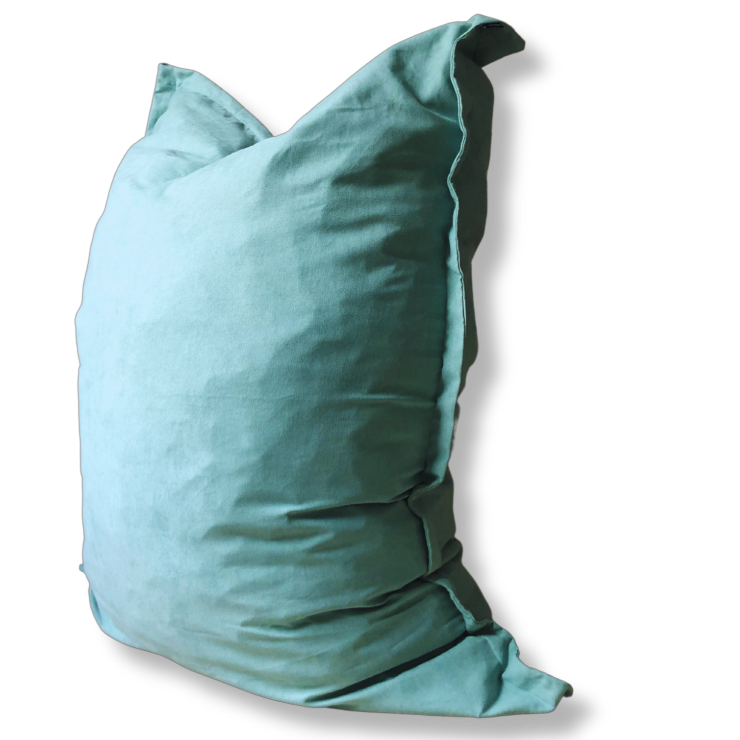 Bean Bag Giant Pillow